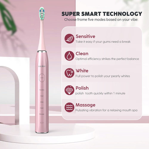Electric Toothbrush USB Rechargeable Sonic Power Toothbrush with 12 Brush Heads